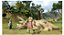 Jogo Lego Jurassic Word PS4 - PS5 Retrocompatível - Imagem 2