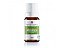 Óleo Essencial Melaleuca/Tea Tree 10mL - Phytoterápica - Imagem 1