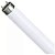 Lampada Fluorescente Philips 20W (T10) - Imagem 1