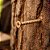 KIT 50 PARAFUSO PHILLIPS 4,0X50 CHIPBOARD P/ BUCHA 06 VONDER - Imagem 3