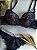 Conjunto Lingerie Hibisco - Imagem 6