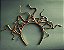 ARCO MEDUSA - Imagem 1