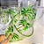 Conjunto jarra e taças tropical palm clear 1300ml e 330ml - Imagem 2