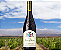 VINHO FRANCES LOUISE DE VILLARD PINOT NOIR TINTO DOC SAFRA 2023 750 ML - Imagem 1