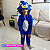 Fantasia Infantil Sonic Longo | Pijama Macacão Kigurumi - Imagem 2