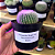 Notocactus scop var bueneckerii - Imagem 1