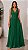 VESTIDO LONGO CHIFFON ALÇA LARGA  DECOTE V BUSTO E COMPRIMENTO PLISSADO VERDE BANDEIRA - Imagem 1