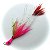 Jig Double Tail - Amazônico - Imagem 1