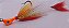 Jig Double Tail - Amazônico - Imagem 3