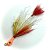 Jig Double Tail - Amazônico - Imagem 1