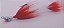 Jig Double Tail - Amazônico - Imagem 2