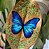 Folha Borboleta - Imagem 7