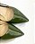 SCARPIN ALLYMA BASIC FLORA VERDE - Imagem 5