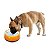 Comedouro Afp Puppy Love Bowl Para Cachorro - Laranja - Imagem 2