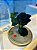 Rosa Encantada Black - Imagem 1