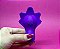 Vibrador de Calcinha e Estimulador Recarregável com Imã Via Aplicativo – SUNFLOWER VIBRATOR - Imagem 2