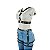 Conjunto Domini Harness Peitoral e Cinta Liga em Couro - Imagem 6