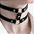 Coleira Dupla Fivela - Choker Rebite - SI - Imagem 4