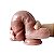 Penis Super Realistico em Silicone Liquido - 21,5x4,0 - Imagem 5