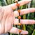 Pulseira de Proteção 7 Nós com Ágata Vermelha Natural Fio de Seda - Imagem 5