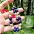 Pulseira Flor de Lápis-Lazúli Natural e Pérolas Banhada a Ouro - Imagem 3