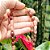 Colar de Quartzo Hematoide Vermelho e Aventurina Roxa Banhadas a Ouro - Imagem 3