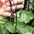 Colar de Hematita Natural em Macramê com Fio de Seda - Imagem 2