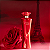 Grace Rouge Absolu Deo Parfum 100ml - Imagem 6
