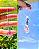 Phonestrap Sylveon - Imagem 1