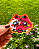 Adesivo Blitzo Cat - Imagem 1
