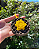⭐ Clicker Ticci Toby 💛🖤 - Imagem 2