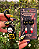 Kit Fran Bow - Imagem 2