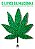 KIT O Livro da Maconha + O Manifesto da Cannabis - Imagem 3