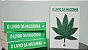 O Livro Da Maconha: O Guia Completo Sobre A Cannabis - Imagem 3