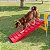 Ponte Agility para Cachorro Pet Freso - Imagem 5