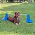 Barra de Salto Mini Pet Agility Freso - Imagem 8