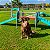 Ponte Agility Pet Spring para Cachorro Freso - Imagem 6