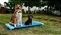 Caminha Grande Para Pet Empilhável Gato e Cachorro Azul Freso - Imagem 4