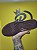 Nike Dunk Low ' Cacao Wow ' - A PRONTA ENTREGA - Imagem 4