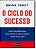 Livro Ciclo do Sucesso, o : Como Descobrir suas Reais Metas de Vida e Chegar Aonde Você Quer Autor Tracy, Brian (2013) [usado] - Imagem 1