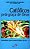 Livro Católicos pela Graça de Deus - Subsídios para Uma Leitura da Fé 2 Autor Oliveira, José Fernandes de (1996) [usado] - Imagem 1