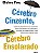 Livro Cérebro Cinzento, Cérebro Ensolarado Autor Fox, Elaine (2014) [usado] - Imagem 1