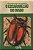 Livro o Escaravelho do Diabo - Série Vaga-lume Autor Almeida, Lúcia Machado (1987) [usado] - Imagem 1