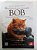 Livro um Gato de Rua Chamado Bob Autor Bowen, James (2013) [usado] - Imagem 1