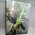 Dvd Star Wars - Trilogia /ameaça Fantasma , Ataque dos Colnes , a Vingança dos Sith Editora George Lucas [usado] - Imagem 1