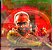 Cd Gilberto Gil ao Vivo 1998 Interprete Gilberto Gil (1998) [usado] - Imagem 1