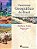 Livro Panorama Geográfico do Brasil- Contradições , Impasses e Desafios Sociespaciais Autor Adas, Melhem (2004) [usado] - Imagem 1