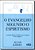 Livro Evangelho Segundo o Espiritismo, o Autor Kardec, Allan (2007) [seminovo] - Imagem 1