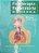 Livro Fisioterapia Respiratória Moderna Autor Azeredo, Carlos Alberto Caetano (2002) [usado] - Imagem 1