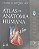 Livro Atlas de Anatomia Humana Autor Netter, Frank H. (2022) [usado] - Imagem 1